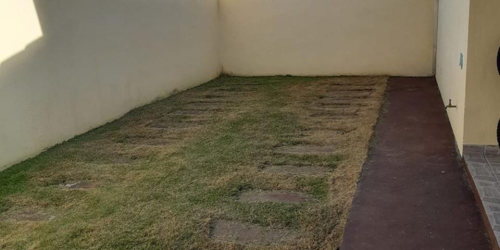 Quintal da casa jardim britania ilha comprida